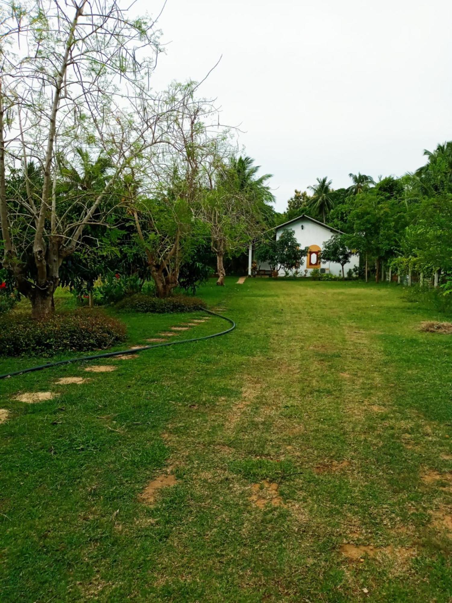 Hotel Habarana Hide Away Exterior foto