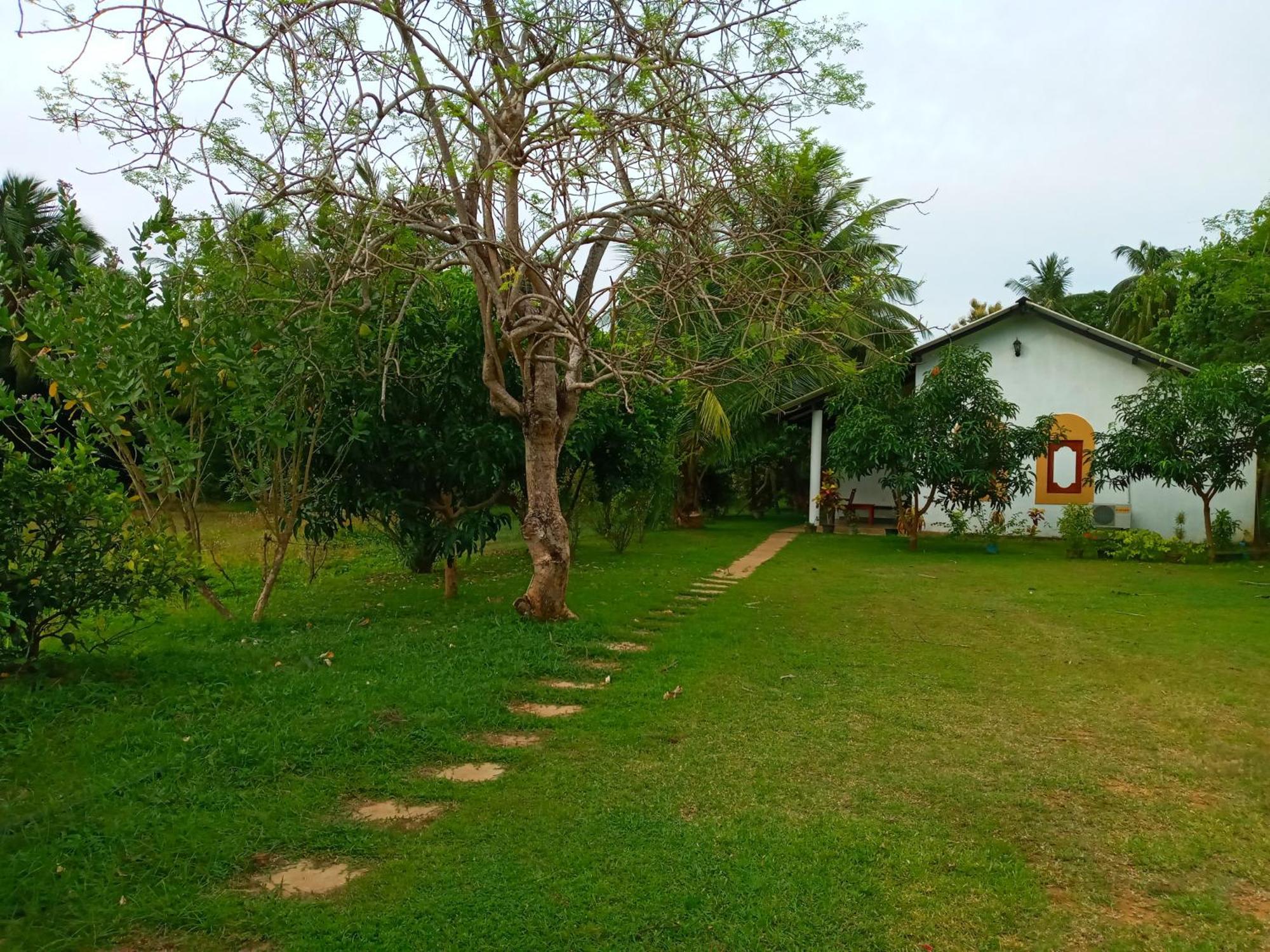 Hotel Habarana Hide Away Exterior foto
