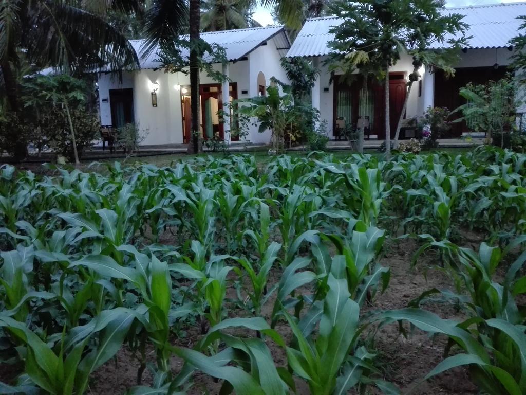 Hotel Habarana Hide Away Exterior foto
